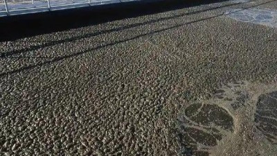 污泥的最終處置方式有哪些？